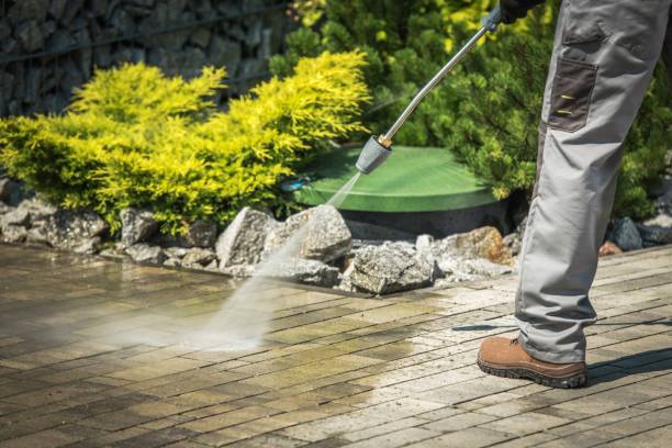 Best Solar Panel Cleaning  in Randleman, NC