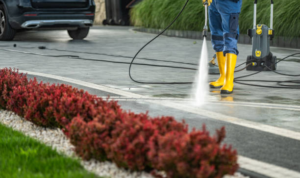Best Dumpster Area Cleaning  in Randleman, NC